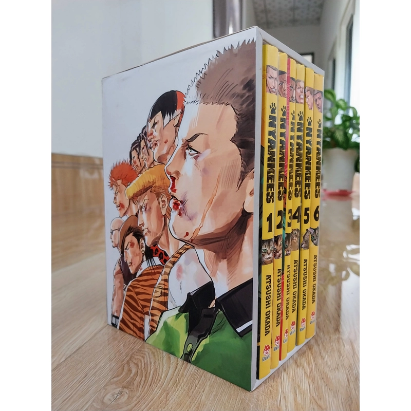 BOXSET NYANKEES - BẦY MÈO BẤT HẢO 333380