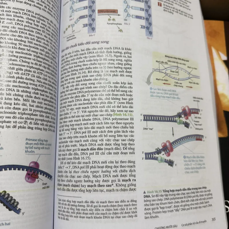 [Miễn ship] Sách Sinh Học Campbell Reece 707824