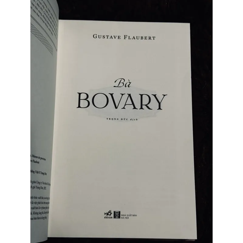 Bà Bovary (bìa cứng) 717559