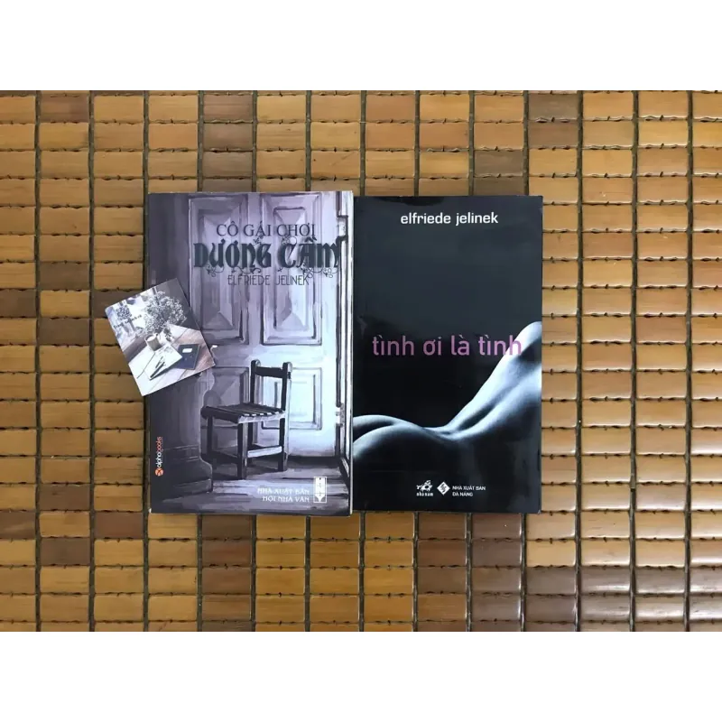 Cô gái chơi dương cầm, Tình ơi là tình - Elfriede Jelinek 795419