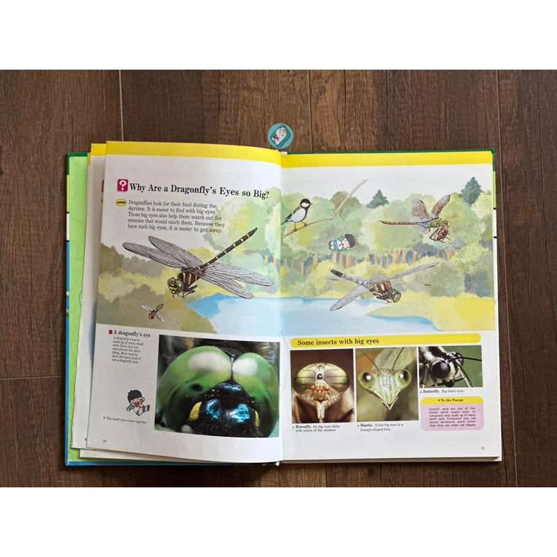 [Bìa cứng] INSECT WORLD (A Child’s First Library of Learning) 224287