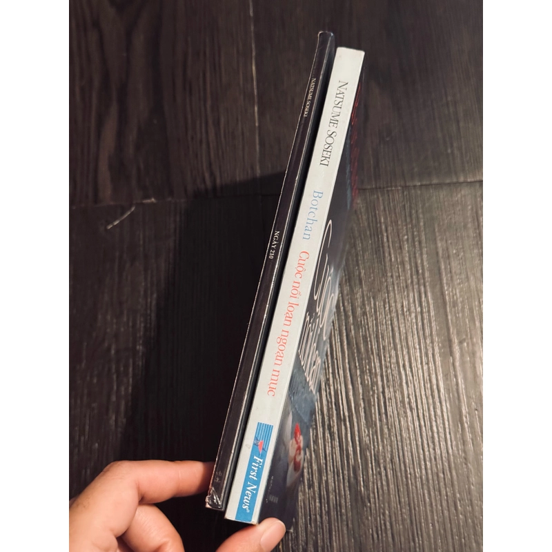 Combo Cuộc nổi loạn của botchan + ngày 210 - Natsume Soseki 519470