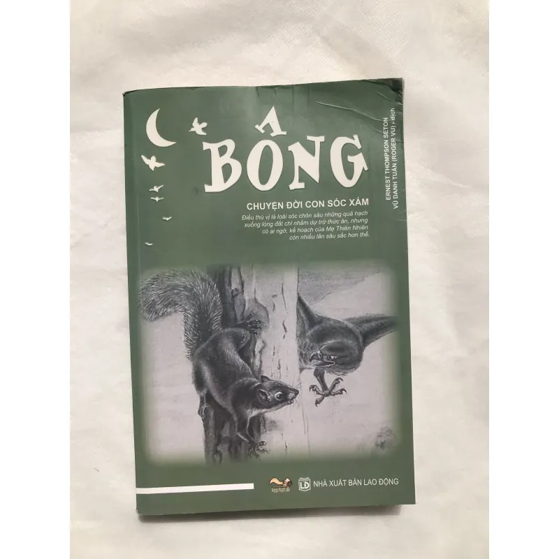 Bông - Chuyện Đời Con Sóc Xám 752153