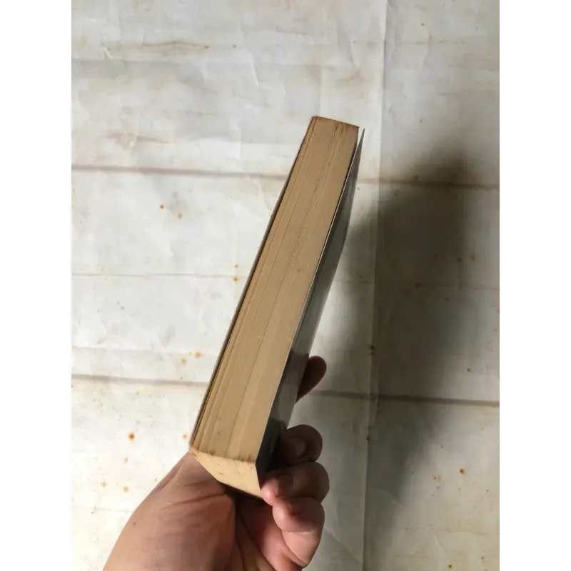 Lũ Trẻ Đường Ray - E. Nesbit 800584