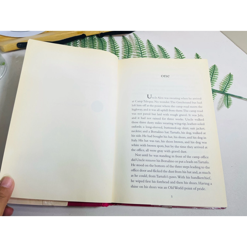 [Sách 2hand từ US] Like new 90% - The Outcasts of 19 Schuyler Place by E. L. Konigsburg  477959