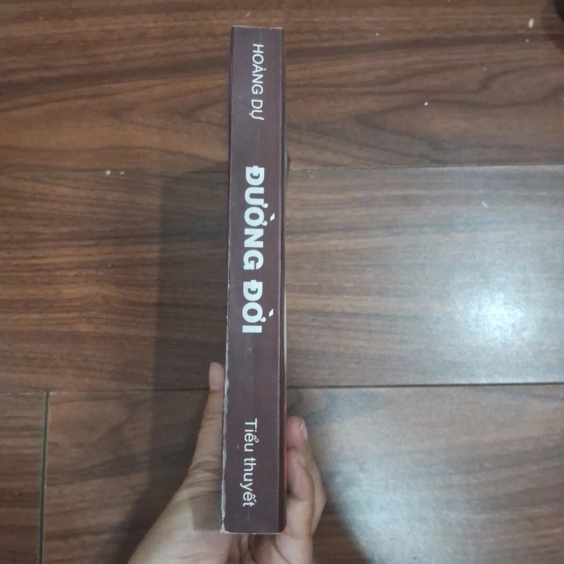 Đường đời - hoàng dự 511808