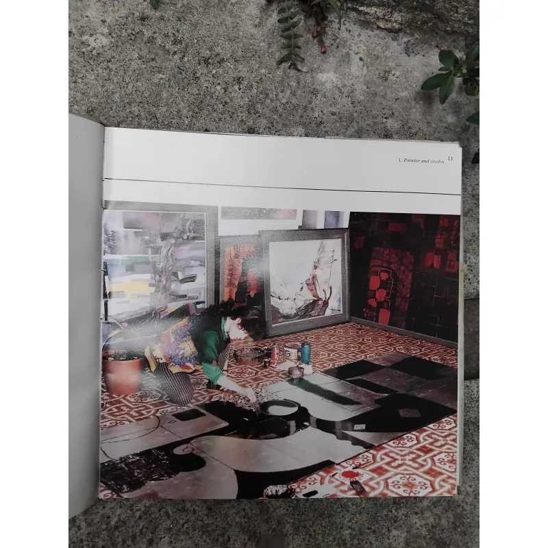 Vựng tập mỹ thuật Bùi Mai Hiên, Đào Anh Khánh  1028214