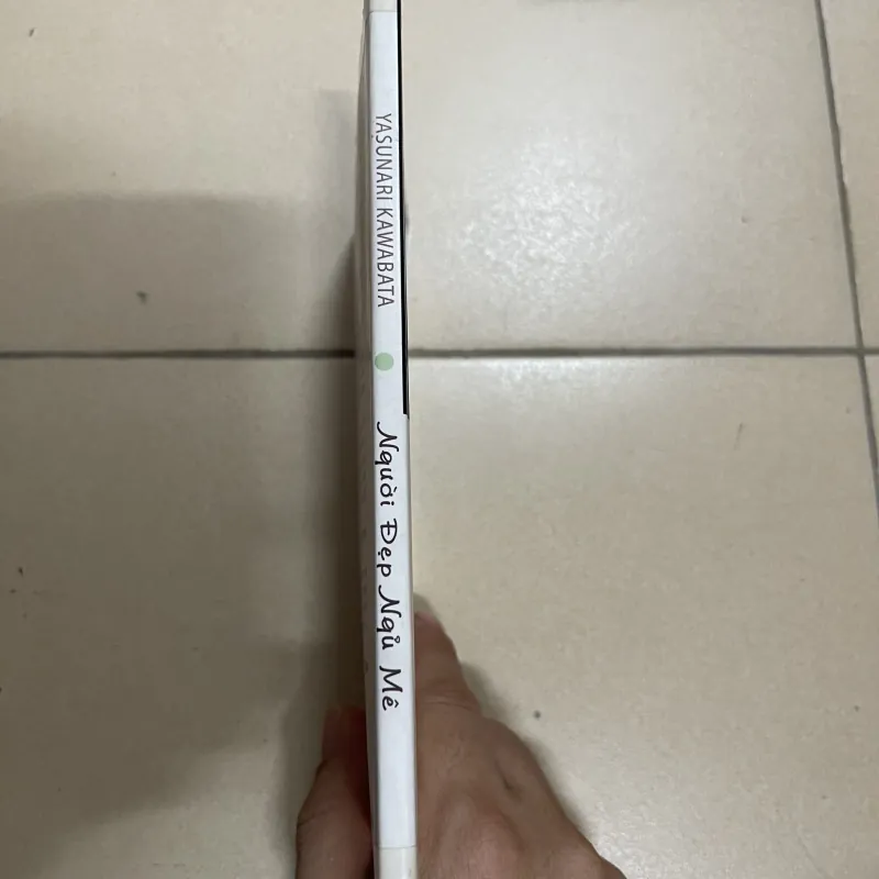 Người đẹp ngủ mê - Yasunari Kawabata (c43) 1019197