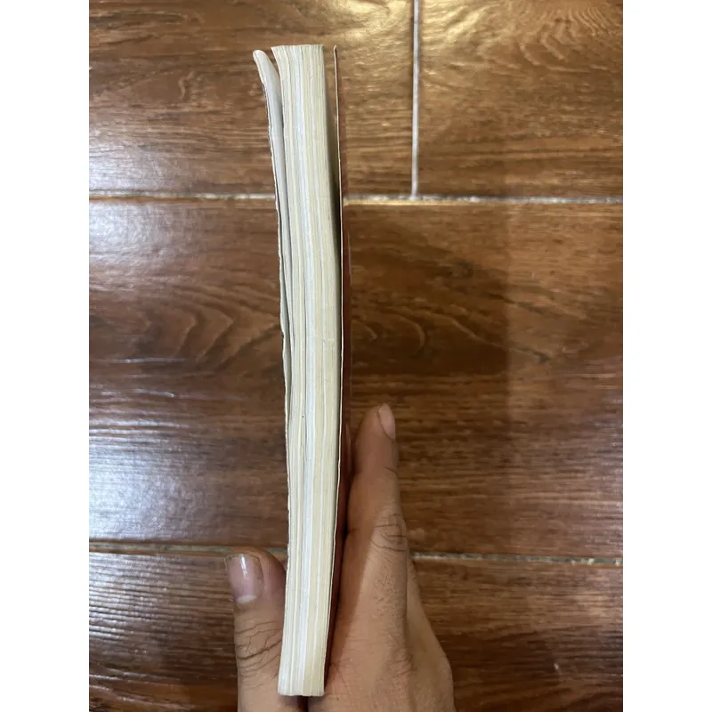 Nguyễn Cao Kỳ trở về đất mẹ - Lý Nhân (7) 597884