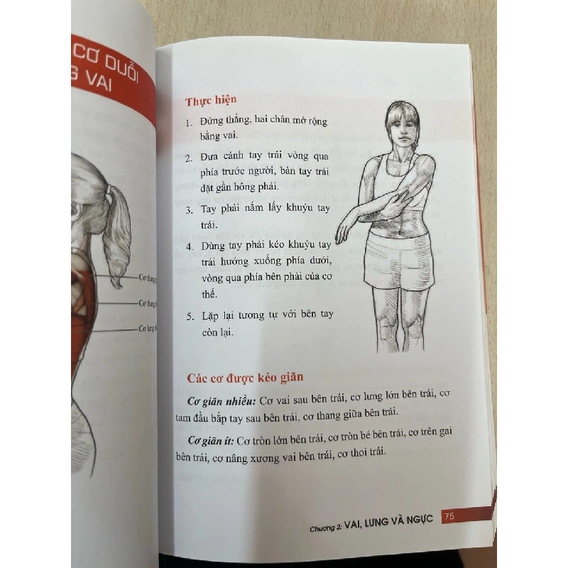 Giải phẩu học về giãn cơ, giãn cơ để tối ưu sức mạnh cơ bắp - Arnold G. Nelson, Jouko Kokkonen 752605