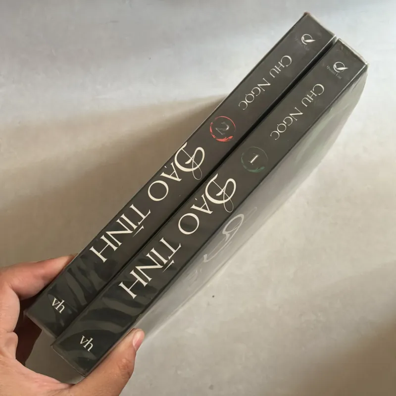 Đạo tình trọn bộ 2 tập - Chu Ngọc 755120