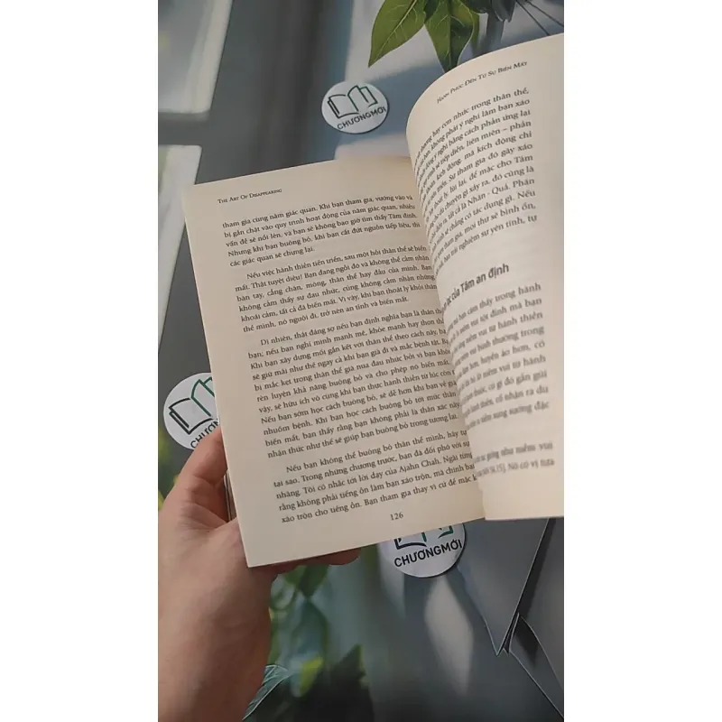 Hạnh Phúc Đến Từ Sự Biến Mất - Ajahn Brahm 961190