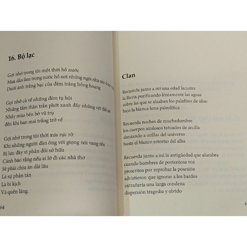 Tương lai được viết trên đá cổ - Fernando Rendón 799685