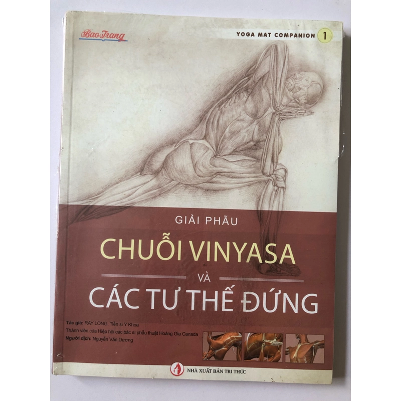 GIẢI PHẪU CHUỖI VINYASA VÀ CÁC TƯ THẾ ĐỨNG 297634