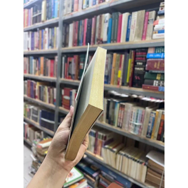 TIẾNG VỌNG TỪ NHỮNG LINH HỒN - HOÀNG ANH SƯỚNG  1038028