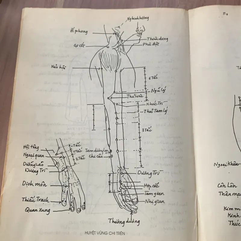 Hướng dẫn tra cứu châm cứu, Dương Trọng Hiếu 608243