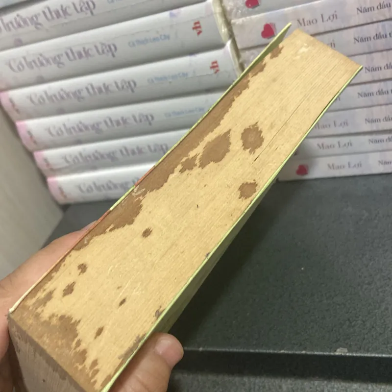 (Ngôn tình) - Hàng đã nhận miễn trả lại - Mèo Lười Ngủ Ngày 997498