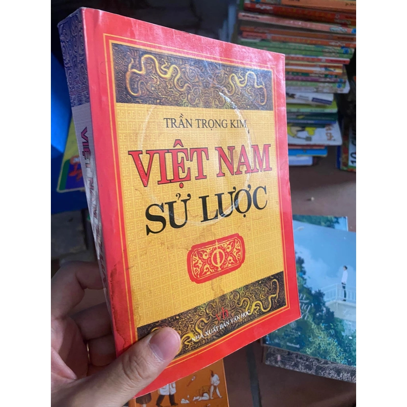 Sách Việt Nam sử lược 313791