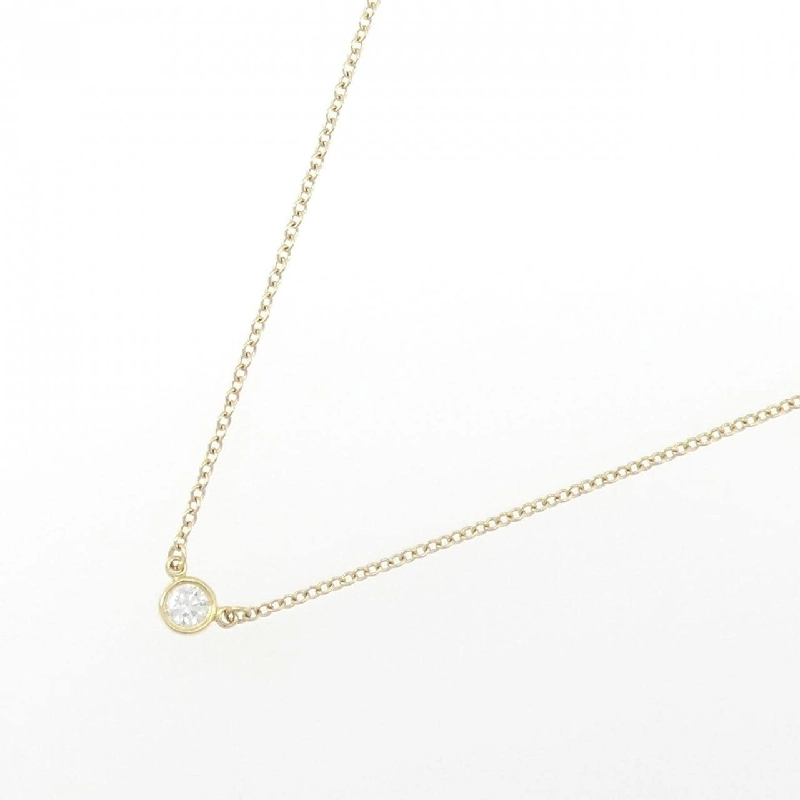 Dây chuyền Tiffany By The Yard - Hàng hiệu Authentic 842753