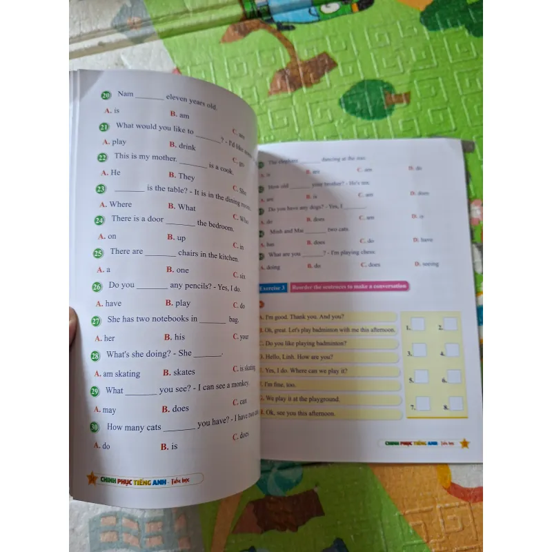 Chinh phục Tiếng Anh Tiểu học 973214