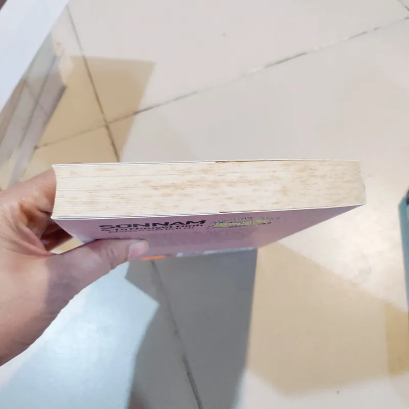 Sơn nam và tô nguyệt đình chuyện xưa tích cũ 596303