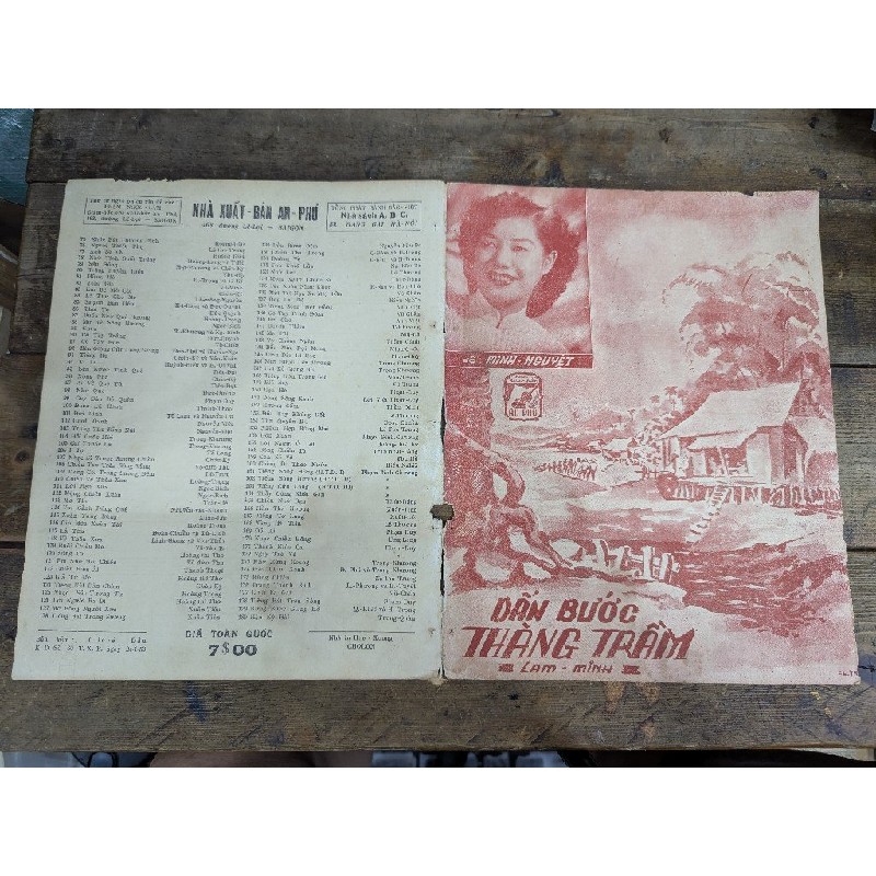 Dấn bước thăng trầm - Lam Minh 190864