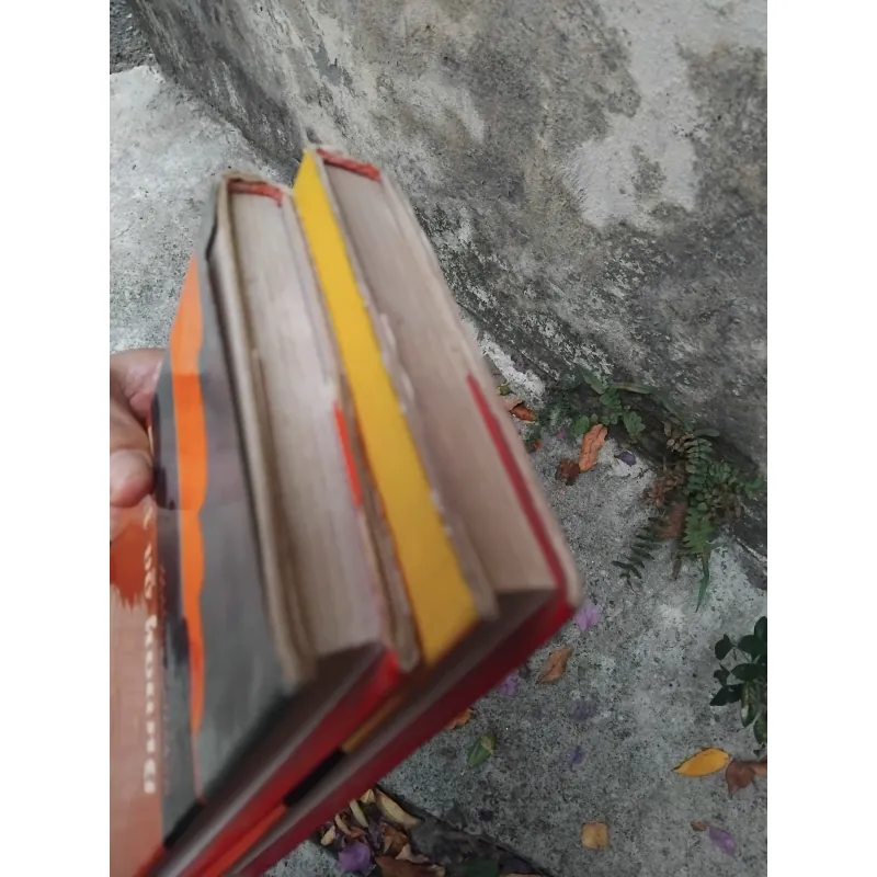 Đất vỡ hoang của Mikhail Solokhov 1031382