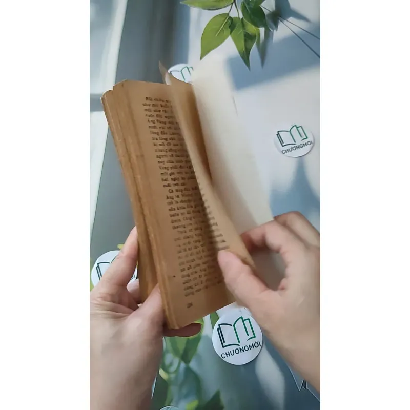 [XƯA] [HIẾM] Em ở nơi đâu (1989) - Trần Tự 997597