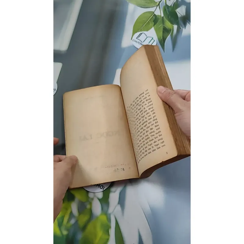 [XƯA] Ngọc Lai (1992) - Hoàng Thế Mai 776085