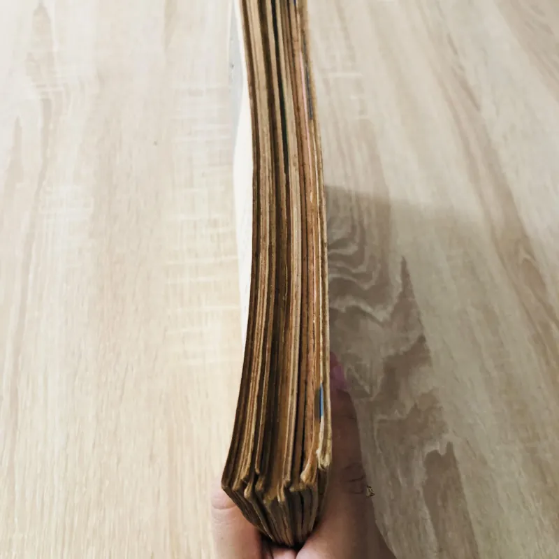 Lô 15 cuốn Tập san Giáo dục cấp 1 (Tiểu học) – sách xưa 929465