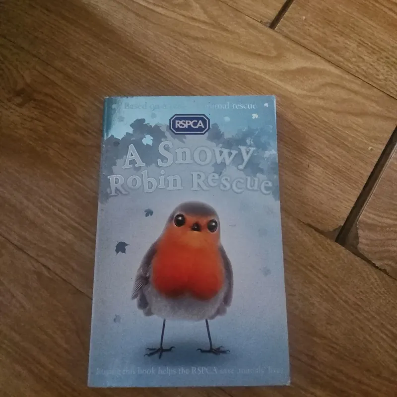 A snowy Robin Rescue Giá 20k  604037