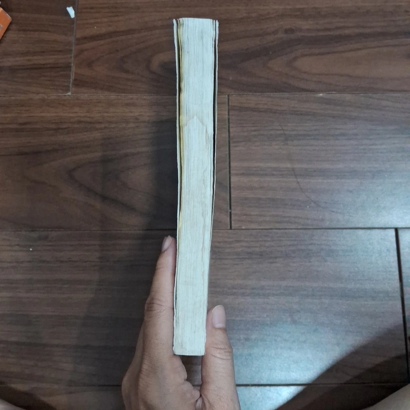 Bí sử vương triều 518431