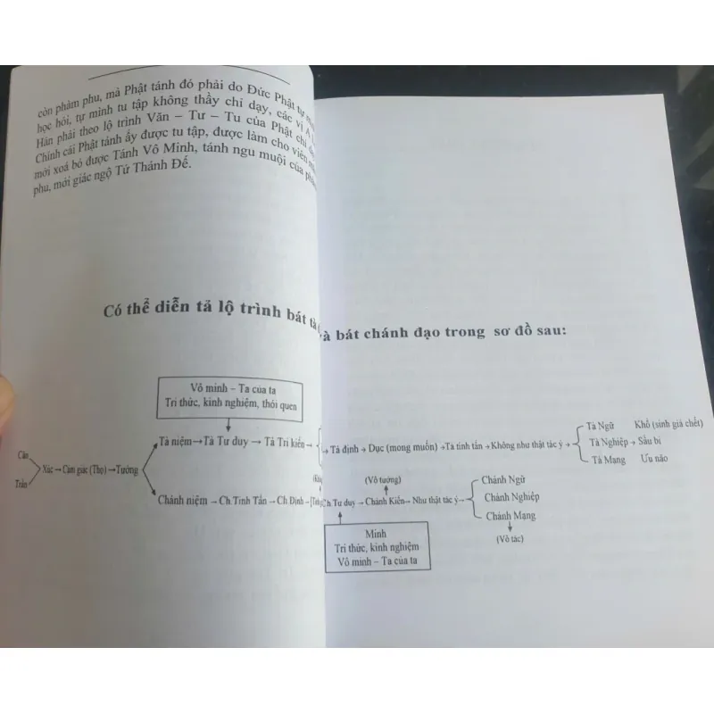 Đến Để Mà Thấy 712151