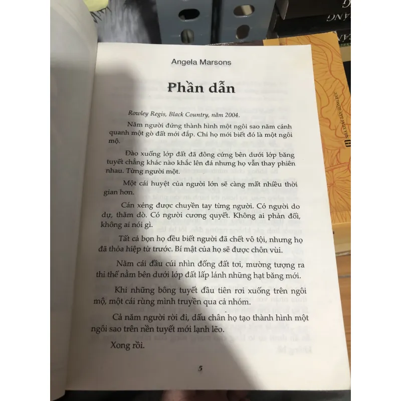 Tiếng thét căm lặng-tiểu thuyết trinh thám 990614