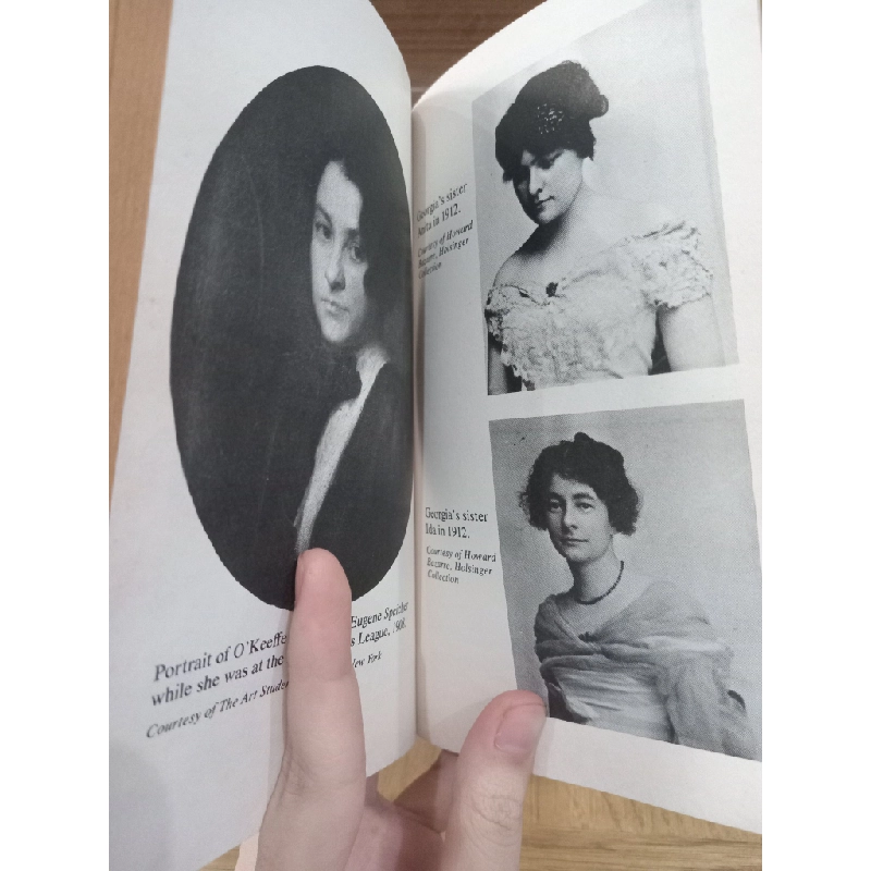 Portrait of an artist: A biography of Georgia O'Keeffe - Laurie Lisle 527604