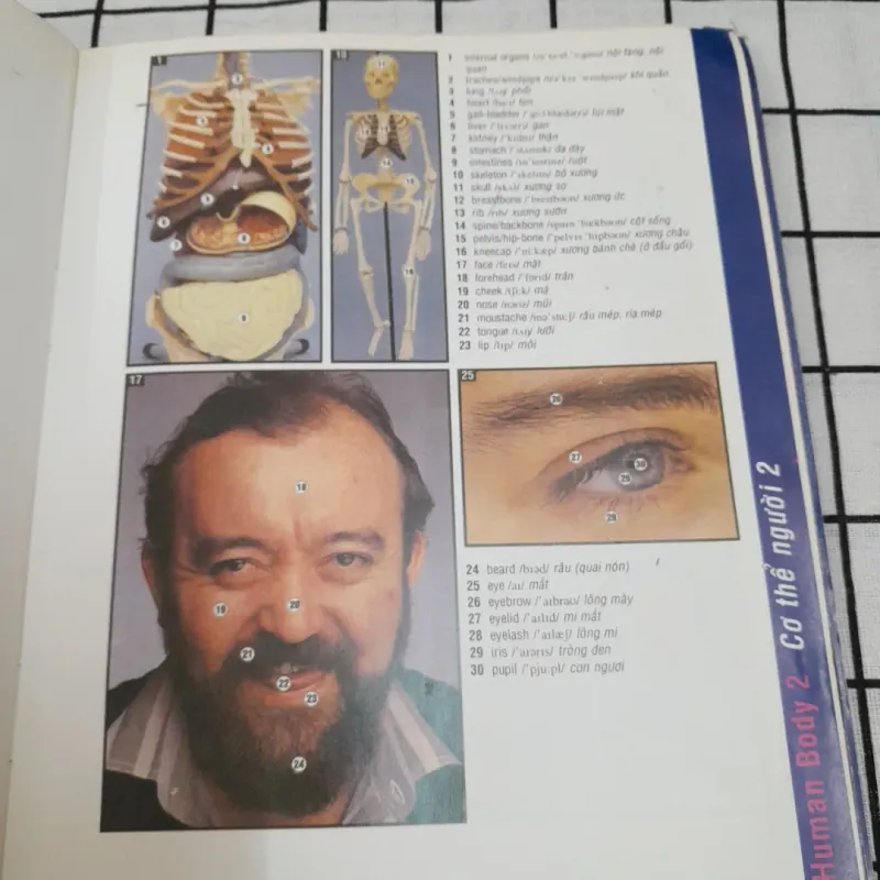 Từ điển Anh việt bằng hình ảnh. In màu. Nxb Phụ Nữ 1998 690205