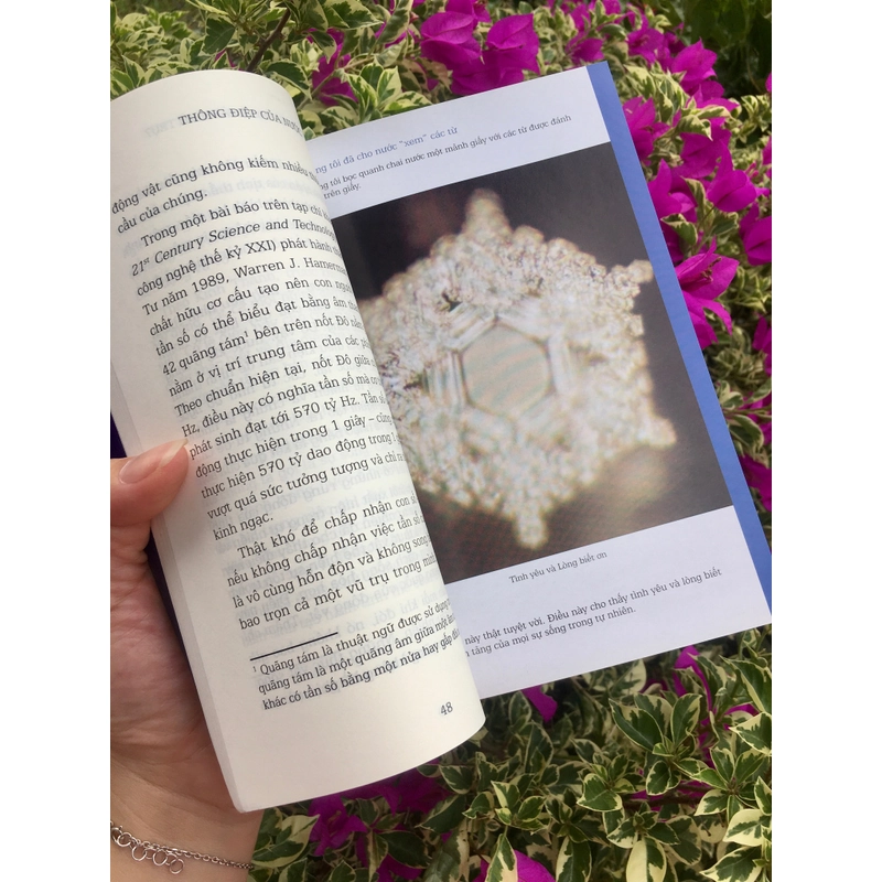 Thông điệp của nước Masaru Emoto 518266