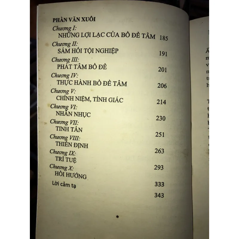 Nhập bố tát hạnh - Đại sư tịch thiện-Shantideva 1009131