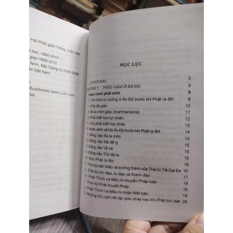 Sách: Phật giáo Việt Nam ( Từ khởi nguyên đến 1981) (A3) 602534