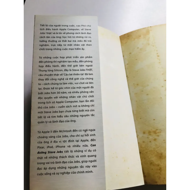 CON ĐƯỜNG STEVE JOBS LÃNH ĐẠO CÁCH TÂN CHO THẾ HỆ MỚI 749183