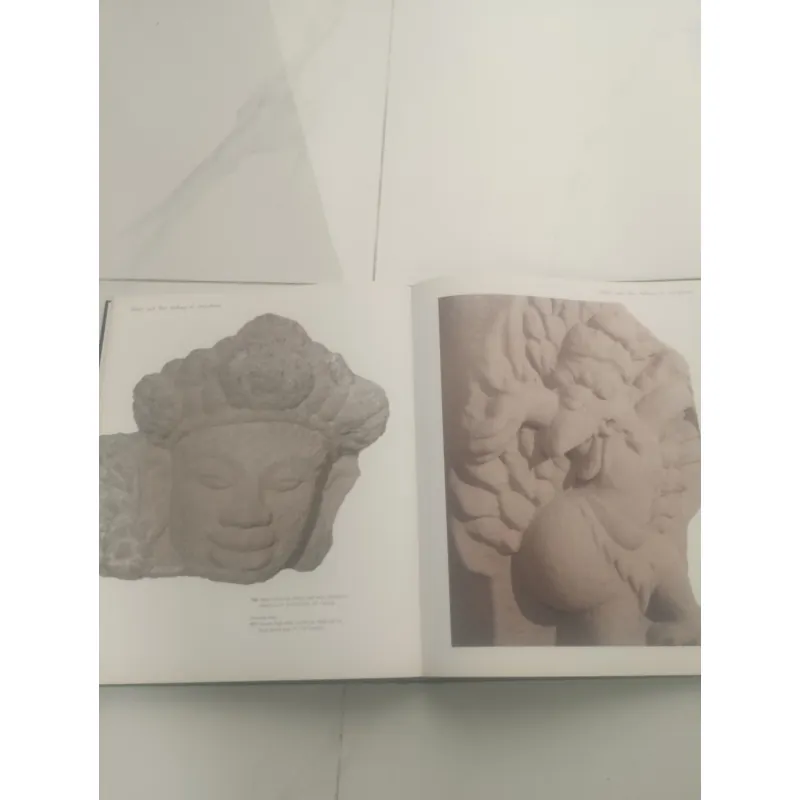 The Art of Champa 907789