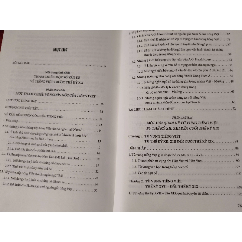 TIẾNG VIỆT LỊCH SỬ MỘT THAM CHIẾU HỒI QUAN - ĐINH VĂN ĐỨC -  2017 - 755 trang - Bìa cứng ANTQ2308 LỊCH SỬ - CHÍNH TRỊ - TRIẾT HỌC 542582