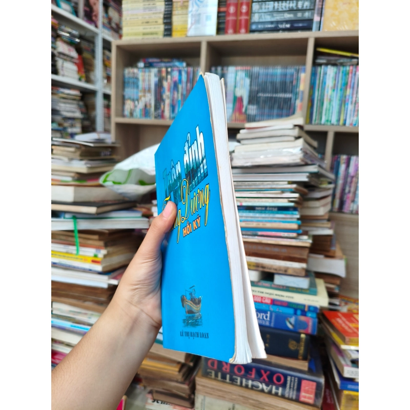 Trên đỉnh tùng dương 🌱 466529