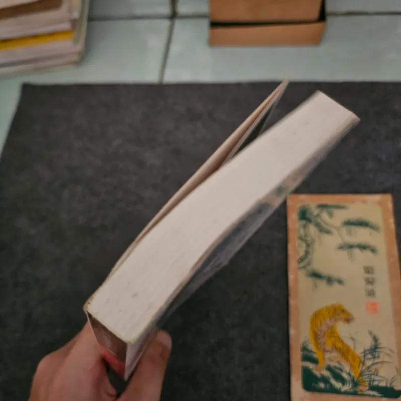 Triết học thế kỷ 20 - Remo Bodei 745294