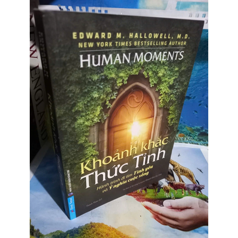 khoảnh khắc thức tỉnh 501603