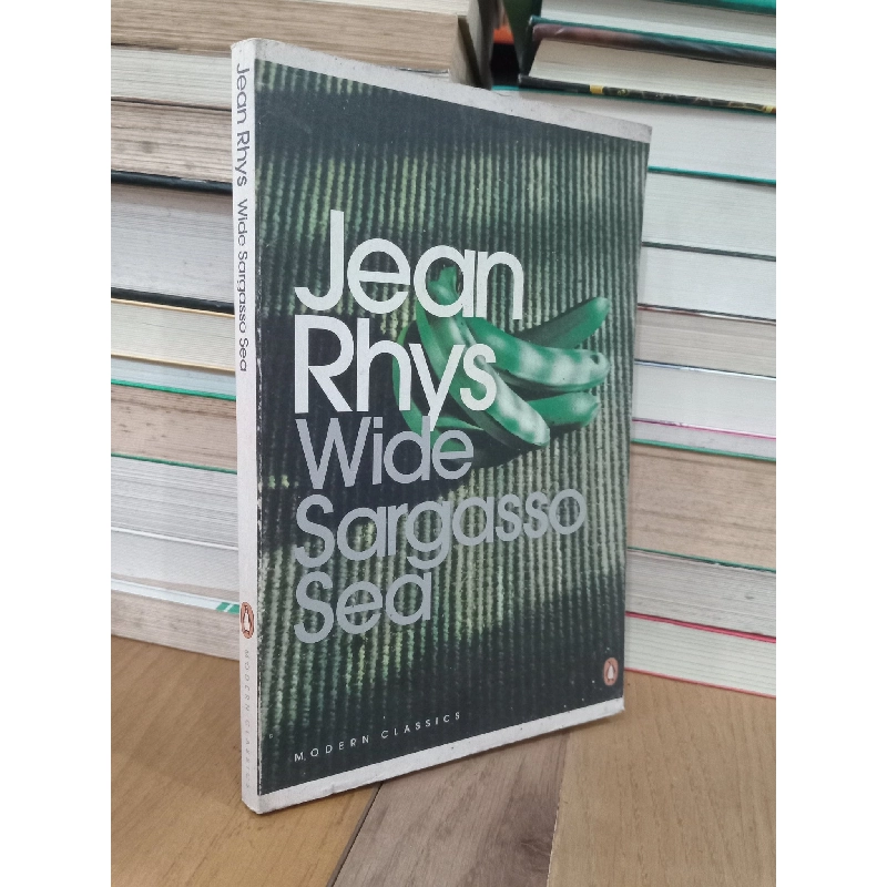 Wide sargasso sea - Jean Rhys 736130