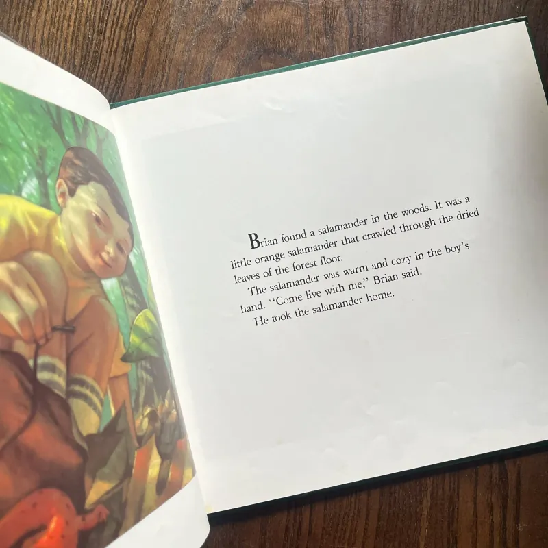 ✨𝑻𝒉𝒆 𝑺𝒂𝒍𝒂𝒎𝒂𝒏𝒅𝒆𝒓 𝑹𝒐𝒐𝒎✨ 740887