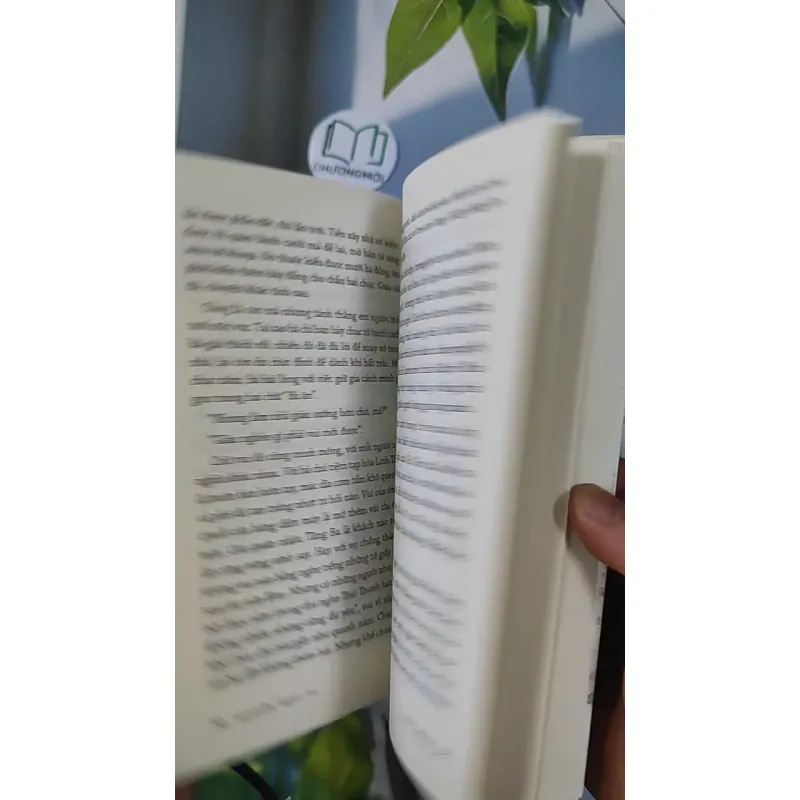 Hành Lý Hư Vô - Nguyễn Ngọc Tư 798396