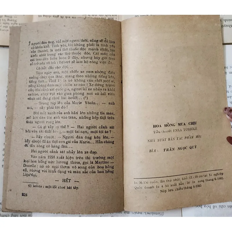 Tiểu thuyết HOA HỒNG MUA CHỊU (Elsa Triolet) 715182