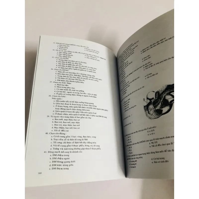 TRẮC NGHIỆM GIẢI PHẪU HỌC  675227